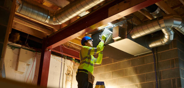 Best Air Duct Mold Removal  in Bethany, WV