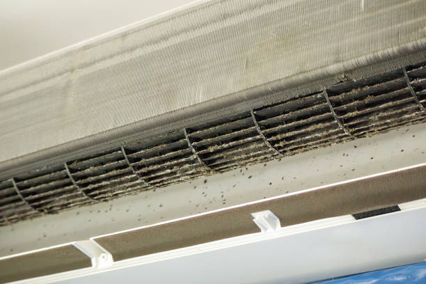 Best Ventilation Cleaning Services  in Bethany, WV